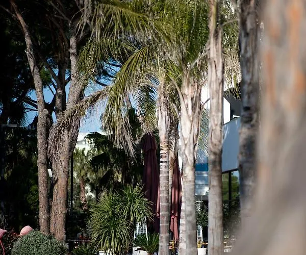 Hotel Royal G Max 5*