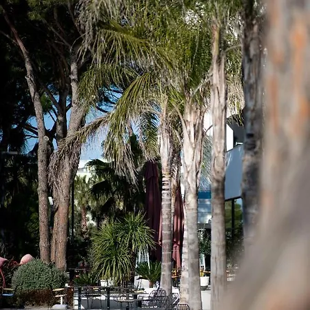 호텔 Royal G Max 5*